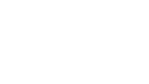 Worldly Passport